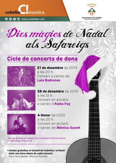 cartell-concerts-safreigs-baixa-2-redim-w470-h550.jpg