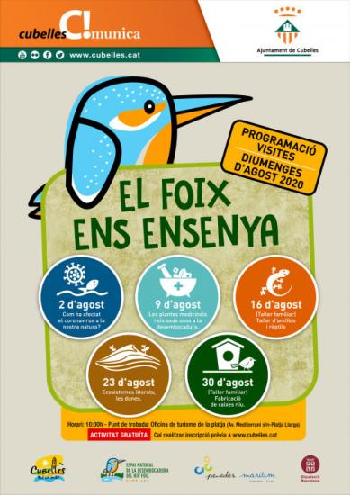 cartell-el-foix-en-ensenya.jpg