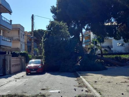 120226 incidencies_vent_extrem__24 (2).jpeg