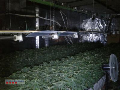 180104 ndp 002 rpms f mossos d esquadra plantacio marihuana cubelles