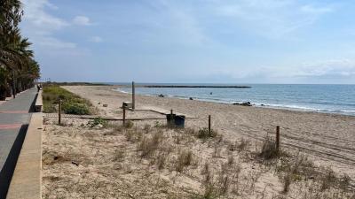 180925 NOVA FASE SISTEMA DUNAR PLATJA MOTA 1.jpg
