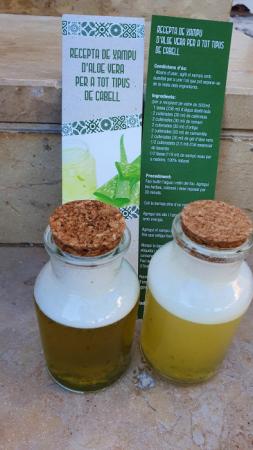 20210801_Taller elaboració sabó Aloe (2).jpg