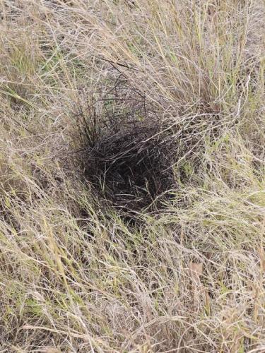 270126 Abocament_petroli_1.jpg