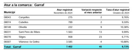 ATUR REGISTRAT NOVEMBRE 2024.png