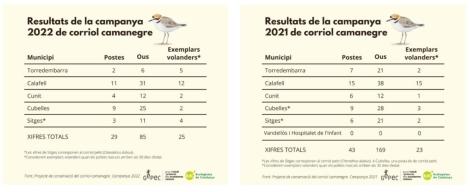 CAMANEGRE GEPEC DADES 2022.JPG