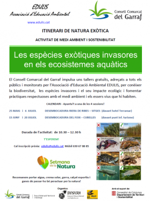 cartell espècies exòtiques.png