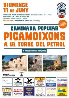 cartell-picamoixons.jpg