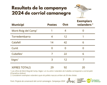 corriol2024.png
