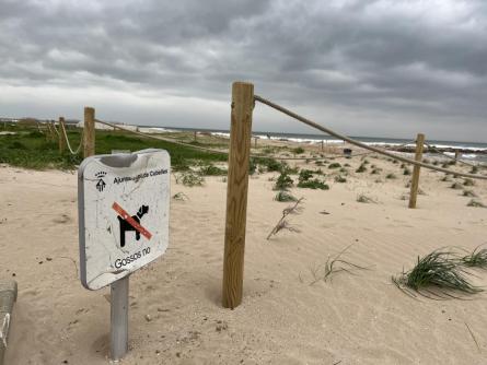 DESEMBOCADURA PLATJA MOTA 050326 (2).JPG