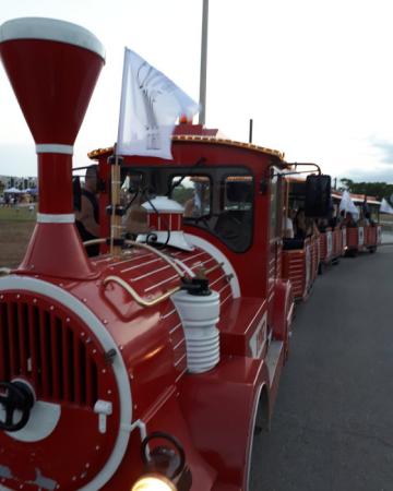 festa jove 2018 3.jpg