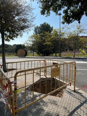 FIBRA GENCAT C31.jpeg