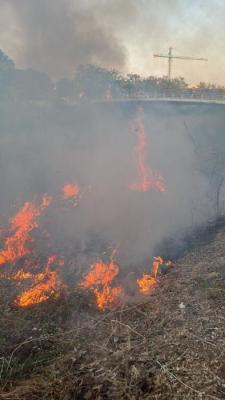 INCENDI FOIX 160625 (2).jpeg