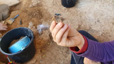 NEANDERTAL BALMA GRIERA (4).jpg