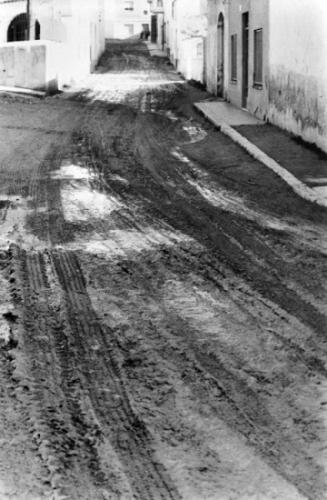 Passejada Cubelles- Setmana arxius.jpg