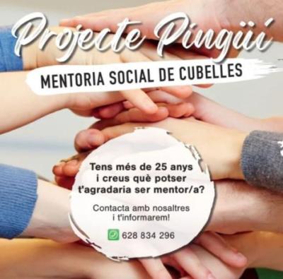projecte-pingui-redim-w470-h550.jpg