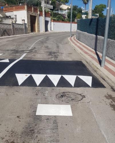 Ressalt velocitat Dàlia Mas Trader.jpg