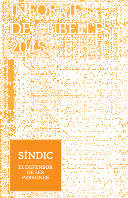 Sindic informe