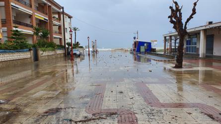TEMPORAL MARÍTIM PASSEIG PLATJA LLARGA 04-12-19 (2).jpg