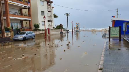 TEMPORAL MARÍTIM PASSEIG PLATJA LLARGA 04-12-19 (3).jpg