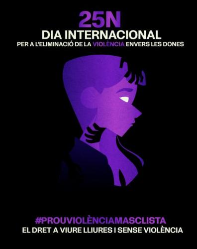 thumbnail_Cartell 25N_Camila Reyes.jpg