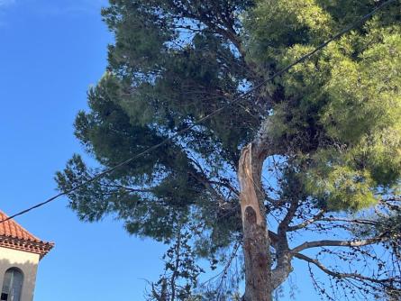 VENT CASA ESTAPE 110226 (1).JPG